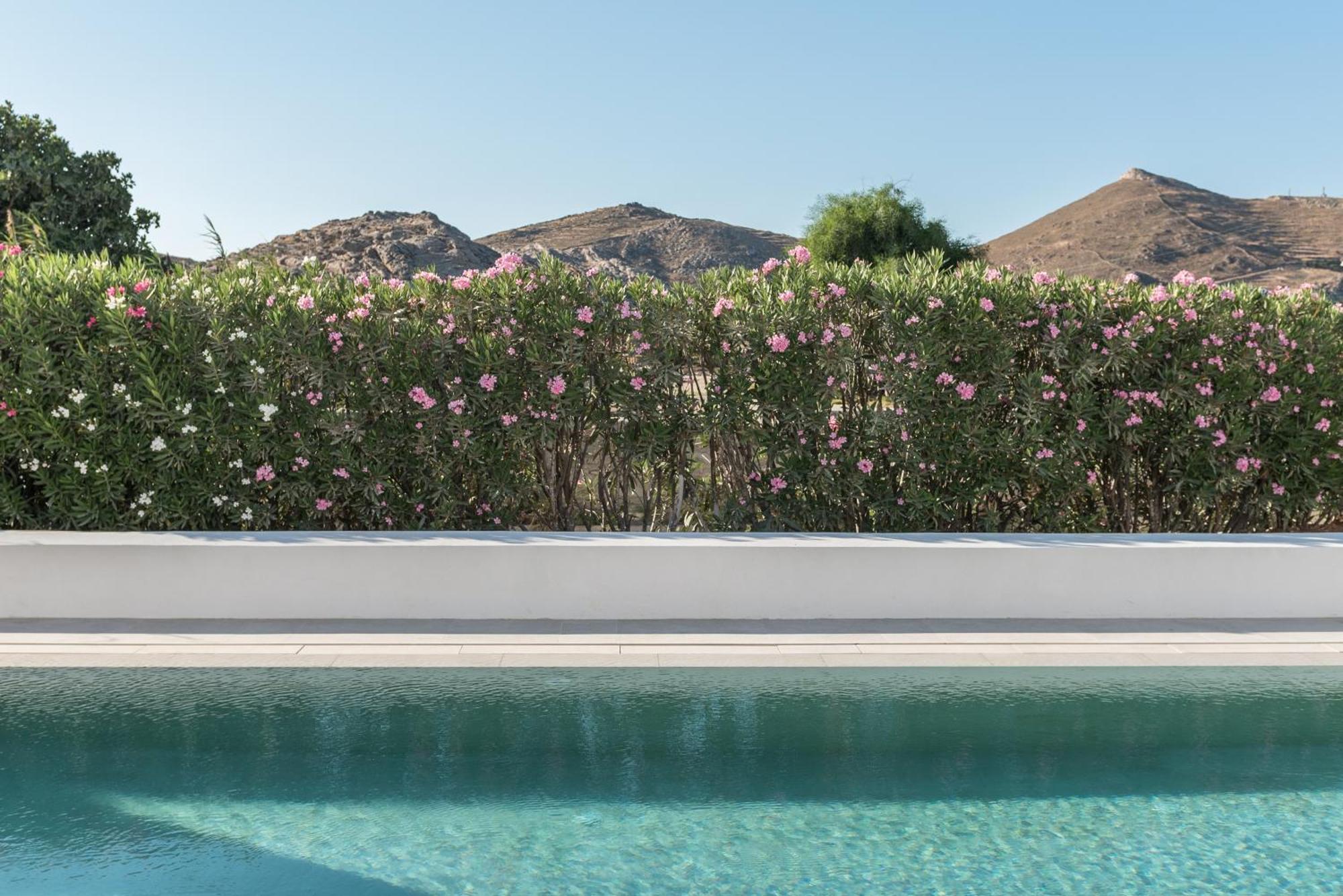 Parilio, A Member Of Design Hotels Naousa  Exterior foto
